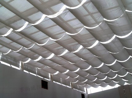 電動(dòng)天棚簾