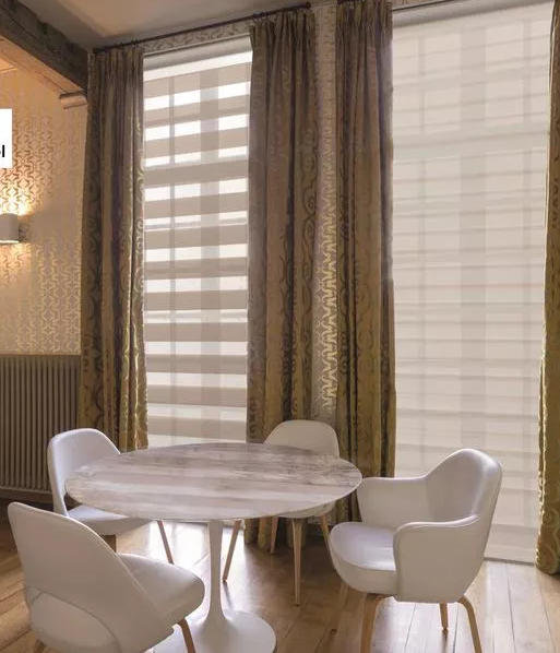 全面的斑馬簾窗飾遮陽結構、安裝和效果圖